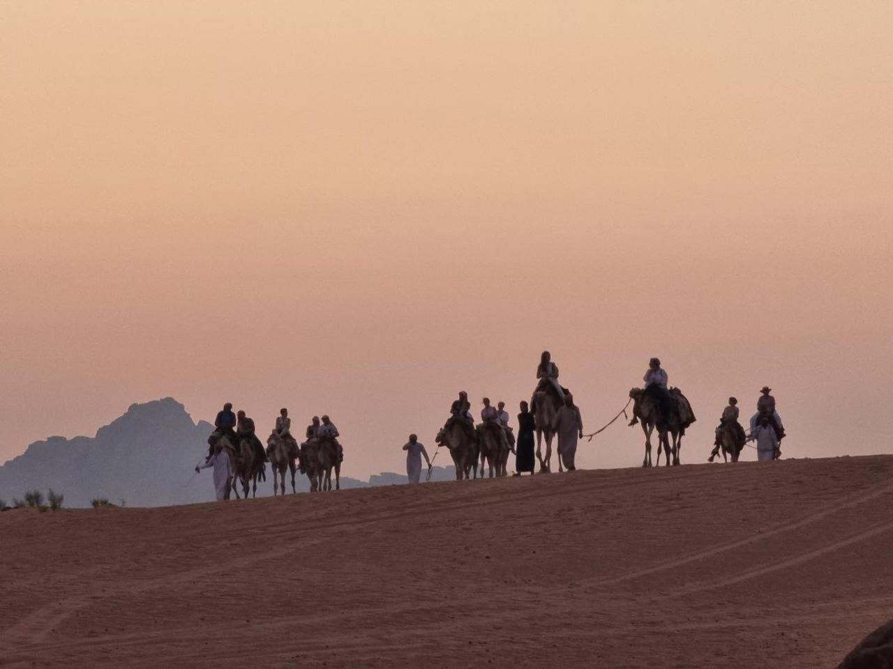 Wadi Rum Oscar Camp Eksteriør bilde